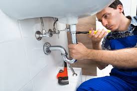 Best 24/7 Emergency Plumbing Services  in Hawkinsville, GA